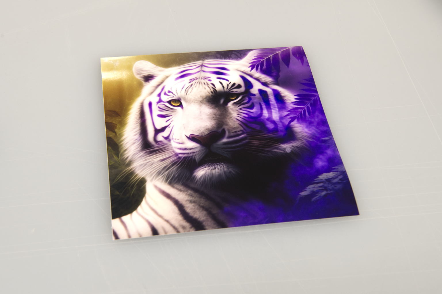 White siberian tiger print