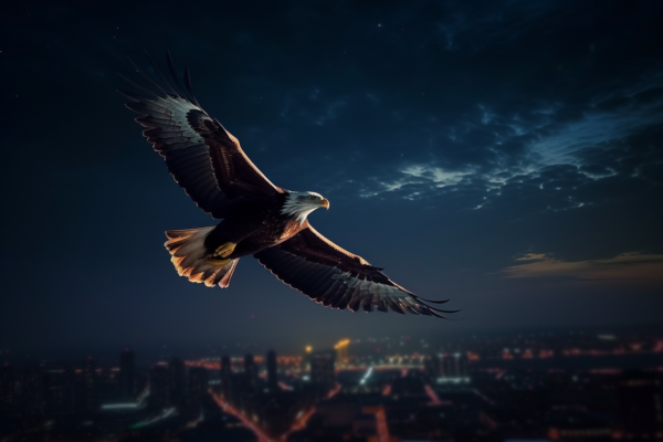 GrameBox graphics Eagle flyer over night sky