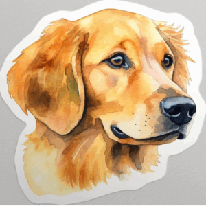 Custom Pet Stickers