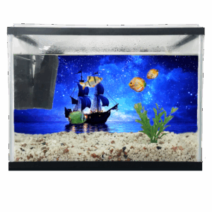 Aquarium Fish Tank Background